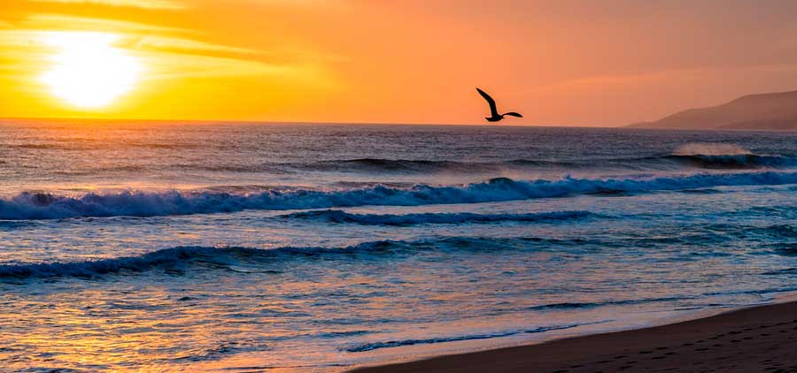 Homes for sale in Malibu, CA